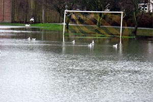 All games are off